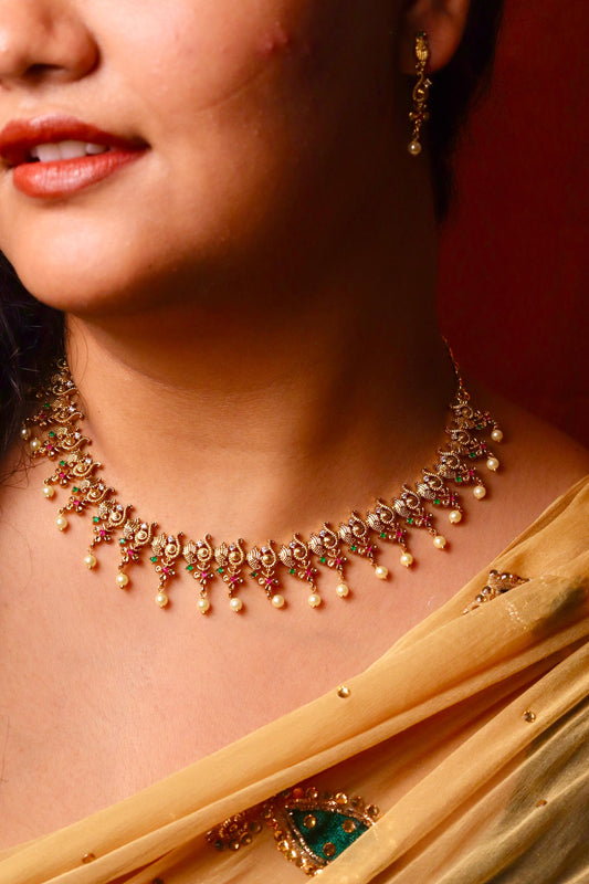Aparna Necklace Set